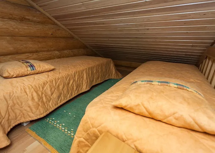 公寓 Hegulinkota B Visit 列维